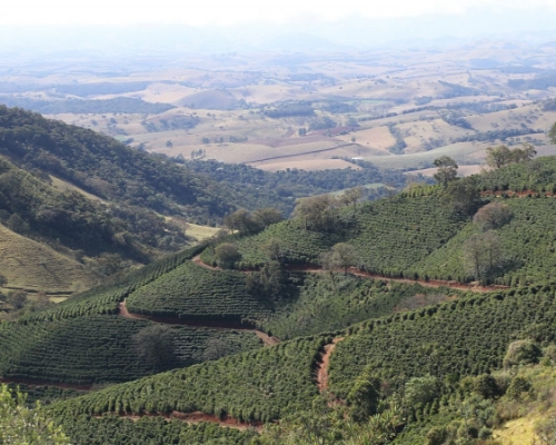 COLOMBIA RODRIGO SANCHEZ MONTEBLANCO PASSION FRUIT WASHED resmi