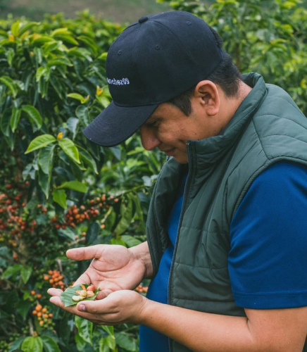 COLOMBIA RODRIGO SANCHEZ NECTAR CITRULLUS  resmi