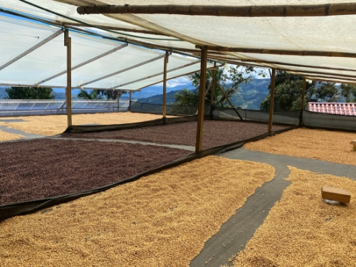 COLOMBIA RODRIGO SANCHEZ LA LOMA resmi