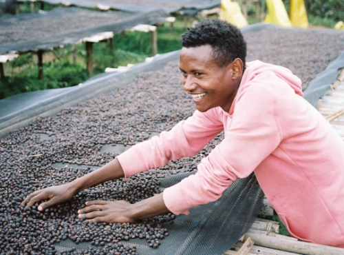 ETHIOPIA  GARA AGENA  MICROLOT  resmi