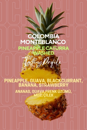 COLOMBIA MONTEBLANCO PINEAPPLE CATURRA / WASHED resmi