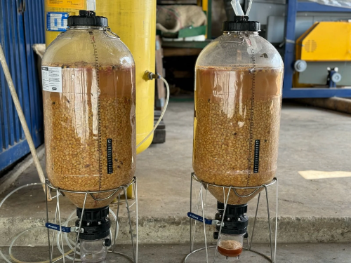 COLOMBIA JULIO CESAR MADRID / NITRO WASHED