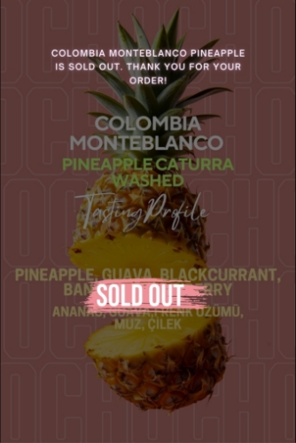 COLOMBIA MONTEBLANCO PINEAPPLE CATURRA / WASHED resmi