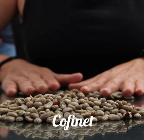 JAIRO ARCILA SANTA MONICA