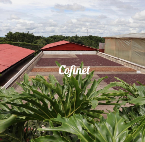 JAIRO ARCILA SANTA MONICA