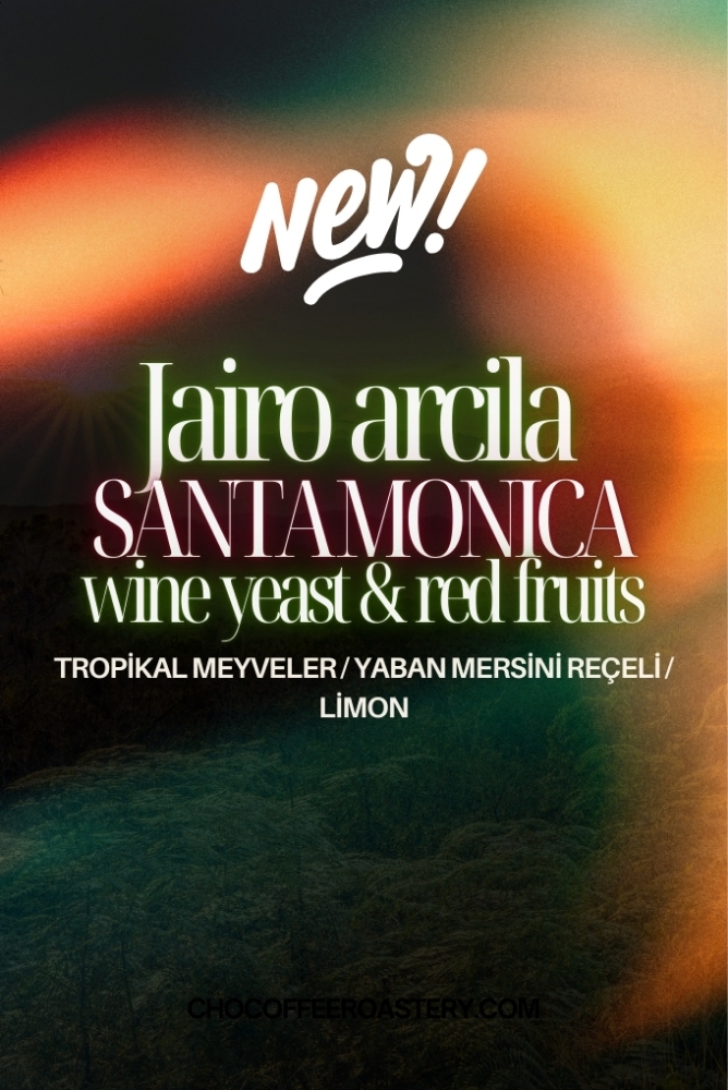 JAIRO ARCILA SANTA MONICA