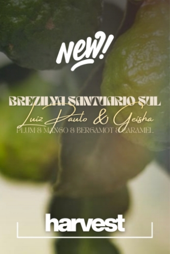 BREZILYA SANTUARI SUL GEISHA & LUIZ PAULO