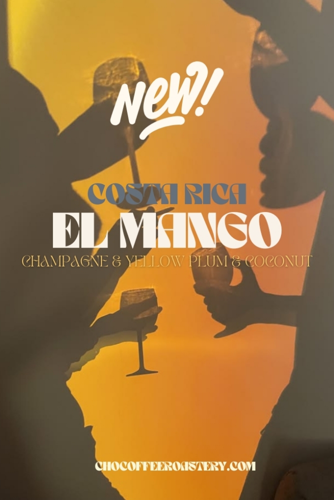 COSTARICA EL MANGO