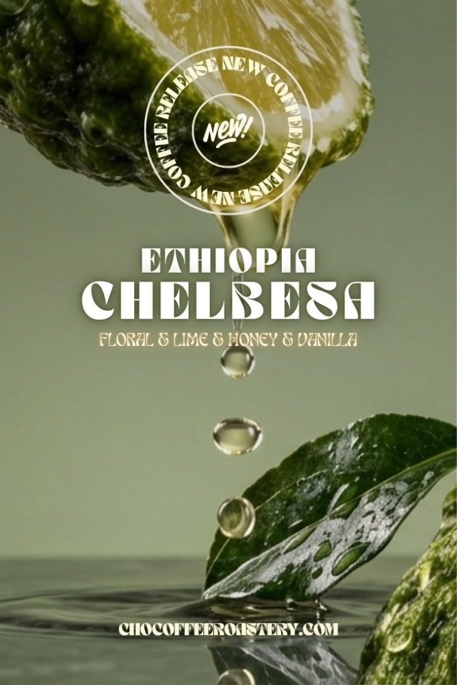 ETHIOPIA CHELBESA WASHED